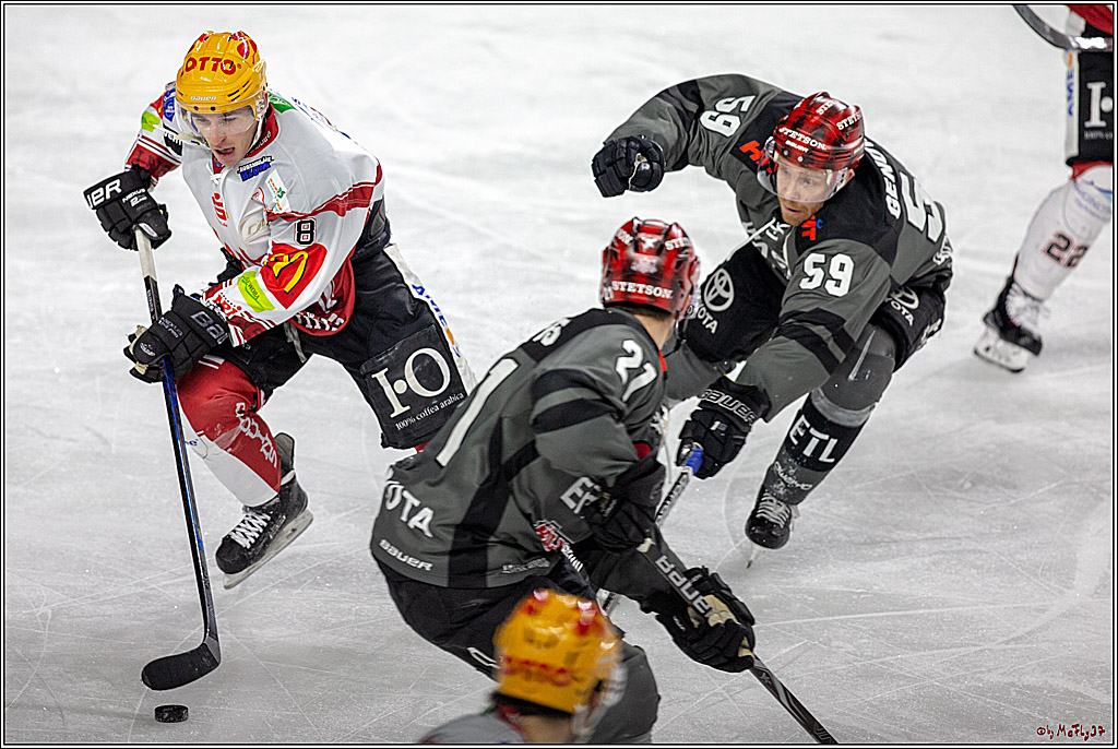 DEL; Koelner Haie - Fischtowns Pinguins Bremerhaven, 24.01.2019